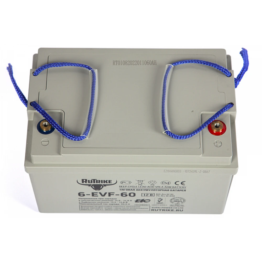 Тяговый аккумулятор RuTrike 6-EVF-60 (12V60A/H C3) 5
